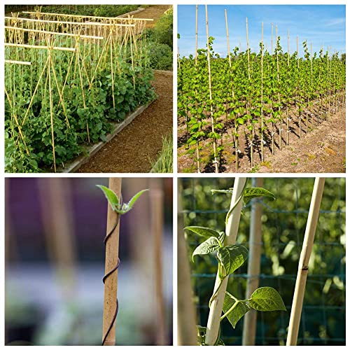 Mininfa Natural Bamboo Stakes 5 Feet, Eco-Friendly Garden Stakes, Plant Stakes Supports Climbing for Tomatoes, Trees, Beans, 20 Pack