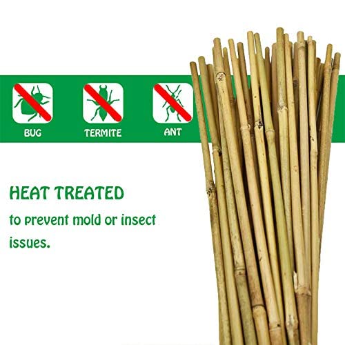 Mininfa Natural Bamboo Stakes 5 Feet, Eco-Friendly Garden Stakes, Plant Stakes Supports Climbing for Tomatoes, Trees, Beans, 20 Pack