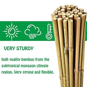 Mininfa Natural Bamboo Stakes 5 Feet, Eco-Friendly Garden Stakes, Plant Stakes Supports Climbing for Tomatoes, Trees, Beans, 20 Pack