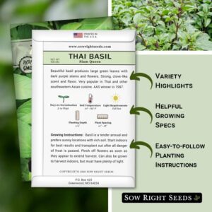 Sow Right Seeds - Sweet Large Leaf Thai Basil Seed for Planting; Non-GMO Heirloom Seeds; Instructions to Plant and Grow a Kitchen Herb Garden, Indoors or Outdoor; Great Gardening Gift