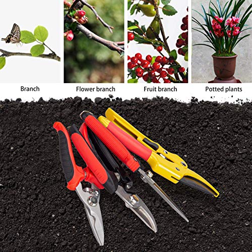 KOTTO 4 Pack Professional Bypass Pruning Shears, Stainless Steel Cutter Clippers, Sharp Hand Pruner Secateurs, Garden Trimmer Scissors Kit with Storage Bag and Protection Gloves