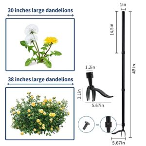 Weed Puller,Weed Puller Tool,49" Long Handle Stand Up Weeder and Weed Puller,Gardening Hand Tools,with 4-Claw iron Head Design for Dandelion,Weeder Root Tool Without Bending,for Backyard Lawn patio