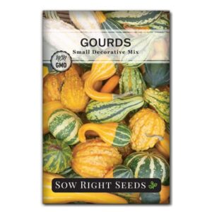 sow right seeds – decorative small gourds mix seed for planting – non-gmo heirloom packet with instructions to plant & grow an outdoor home vegetable garden – fun, colorful and unique – great gift