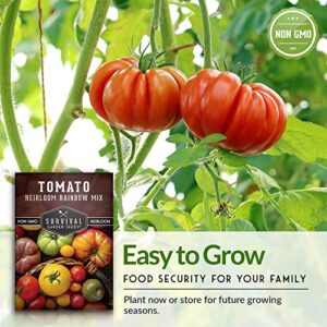 Survival Garden Seeds - Heirloom Rainbow Mix Tomato Seed for Planting - Packet with Instructions to Plant and Grow in Your Home Vegetable Garden - Non-GMO Heirloom Variety