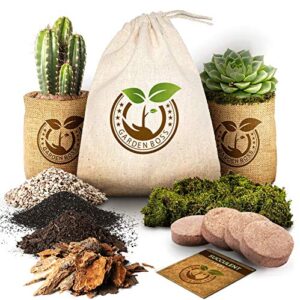 succulent cactus seed diy terrarium germination starter kit for indoor garden growing – mini terrarium kit with seeds, soil, rocks, moss, pea gravel, activated charcoal, and burlap potting planters