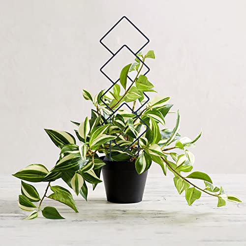 Wellsign Indoor Plant Trellis for Climbing Plants, 16inch Small Garden Metal Trellis for Potted Plants Outdoor with Different Patterns for Vine Ivy Flower Plant Support 4 Pack