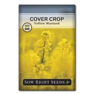 Sow Right Seeds - Yellow Mustard Seed for Planting - Cover Crops to Plant in Your Home Vegetable Garden - Enriches Soil - Suppresses Weeds - Cold Hardy - Non-GMO Heirloom Seeds - Great Gardening Gift