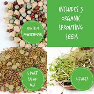 Handy Pantry Complete Sprouting Kit | "Sprout Garden" 3 Tray Sprouter, SG.52 | BPA Free Stackable Sprouting System | Includes Printed Instructions & Organic Sprouting Seeds