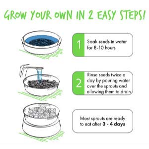 Handy Pantry Complete Sprouting Kit | "Sprout Garden" 3 Tray Sprouter, SG.52 | BPA Free Stackable Sprouting System | Includes Printed Instructions & Organic Sprouting Seeds