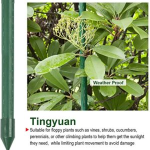 TINGYUAN Garden Stakes 48 Inches Steel Plant Stakes, Pack of 25