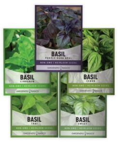 basil seeds for planting home garden herbs – 5 variety herb pack thai, lemon, cinnamon, sweet and dark opal basil seeds herb seeds for indoors, outdoors, hydroponics & aquaponic by gardeners basics
