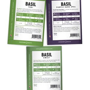 Basil Seeds for Planting Home Garden Herbs - 5 Variety Herb Pack Thai, Lemon, Cinnamon, Sweet and Dark Opal Basil Seeds Herb Seeds for Indoors, Outdoors, Hydroponics & Aquaponic by Gardeners Basics