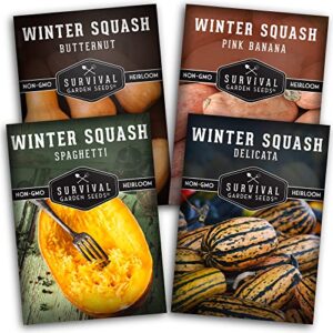 survival garden seeds winter squash collection seed vault – non-gmo heirloom varieties for planting and growing in the vegetable garden – butternut, delicata, pink banana, and spaghetti squash