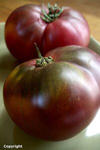 cherokee purple heirloom tomato seeds- 75+ seeds by ohio heirloom seeds