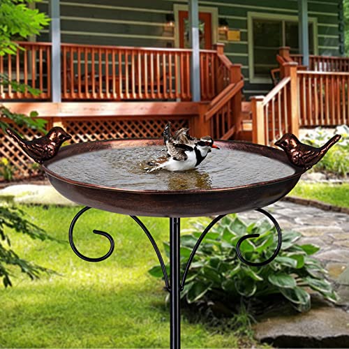 DREAMSOUL Outdoor Garden Bird Bath Metal Bird Baths Cast Iron Birdbath with Metal Stake Tall Bird Bath for Yard Garden Decor（Dia - 10inch）