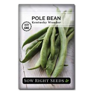sow right seeds – kentucky wonder pole bean seed for planting – non-gmo heirloom packet with instructions to plant a home vegetable garden