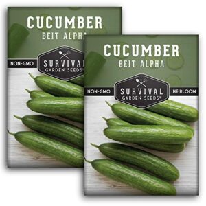 survival garden seeds – beit alpha cucumber seed for planting – pack with instructions to plant and grow smooth green burpless cucumbers in your home vegetable garden – non-gmo heirloom variety – 2