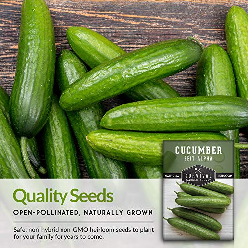 Survival Garden Seeds - Beit Alpha Cucumber Seed for Planting - Pack with Instructions to Plant and Grow Smooth Green Burpless Cucumbers in Your Home Vegetable Garden - Non-GMO Heirloom Variety - 2