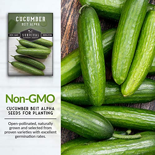 Survival Garden Seeds - Beit Alpha Cucumber Seed for Planting - Pack with Instructions to Plant and Grow Smooth Green Burpless Cucumbers in Your Home Vegetable Garden - Non-GMO Heirloom Variety - 2