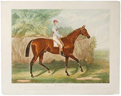 Melton. Winner of the Derby Stakes at Epsom 1885... As a two year old he won the New Stakes at Ascot, The Middle Park Plate and the Criterion Stakes at Newmarket. As a three year old he won the Payne Stakes at Newmarket, also the St. Leger Stakes at Donca