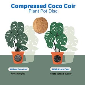 Iceyyyy 60pcs 40mm Compressed Coco Coir Fiber Potting Soil - Expanding Organic Coco Coir Pellet Fiber Soil, Peat Soil Pellets Seeds Starting Plugs for Planting (60, 1.57Inch)