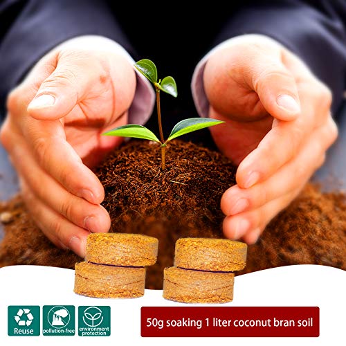 Iceyyyy 60pcs 40mm Compressed Coco Coir Fiber Potting Soil - Expanding Organic Coco Coir Pellet Fiber Soil, Peat Soil Pellets Seeds Starting Plugs for Planting (60, 1.57Inch)