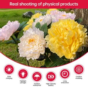 Cmskokm Outdoor Solar Garden Light Yard Decor Garden Decor Solar Flower Lamp Garden Decor Bigger Peony Flower Head Bigger Solar Panel Waterproof Solar Decorative Light for Garden Patio (3 per Box)