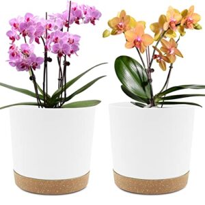 qcqhdu plant pots set of 2 pack 8 inch,planters for indoor plants with drainage holes and removable base,saucer modern decorative for outdoor garden planters(white 8in)