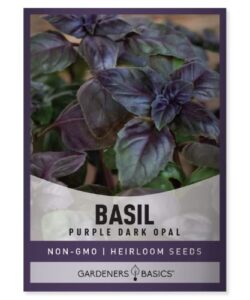 basil seeds for planting herbs purple – (purple dark opal) heirloom non-gmo herb plant seeds for home herb garden indoors, outdoors, and hydroponics by gardeners basics