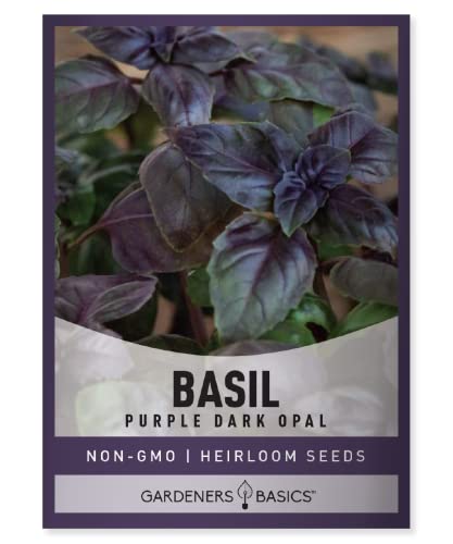 Basil Seeds for Planting Herbs Purple - (Purple Dark Opal) Heirloom Non-GMO Herb Plant Seeds for Home Herb Garden Indoors, Outdoors, and Hydroponics by Gardeners Basics