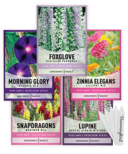 Hummingbird Seeds for Planting Outdoors Flower Seeds (5 Variety Pack) Zinnia, Foxglove, Lupine, Morning Glory, Snapdragons Varieties for Bees, Pollinators Wildflower Seed by Gardeners Basics