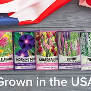 Hummingbird Seeds for Planting Outdoors Flower Seeds (5 Variety Pack) Zinnia, Foxglove, Lupine, Morning Glory, Snapdragons Varieties for Bees, Pollinators Wildflower Seed by Gardeners Basics