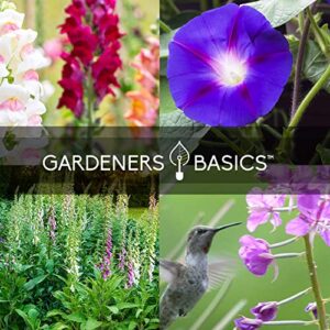 Hummingbird Seeds for Planting Outdoors Flower Seeds (5 Variety Pack) Zinnia, Foxglove, Lupine, Morning Glory, Snapdragons Varieties for Bees, Pollinators Wildflower Seed by Gardeners Basics