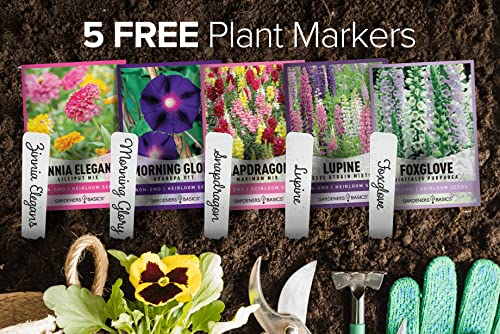 Hummingbird Seeds for Planting Outdoors Flower Seeds (5 Variety Pack) Zinnia, Foxglove, Lupine, Morning Glory, Snapdragons Varieties for Bees, Pollinators Wildflower Seed by Gardeners Basics