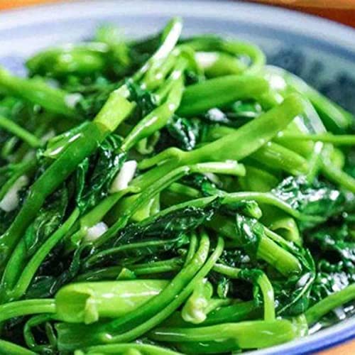 500+ Kangkong Seeds - Rau Muong- Kong Xin CAI- Ong Choy Seeds for Planting- Vegetable Seeds for Yard & Garden Made in USA | Non-GMO | Heirloom | Organic | 95% Germination Rate