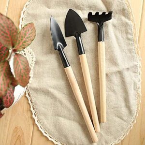 Gardening Tool Set (6 Pcs) Spade Shovel Rake for Garden Plants Care House Plants Flower Pot Cactus Vegetables Kids Indoor Small Plants Mini Medium Plant Tool Succulent Kit