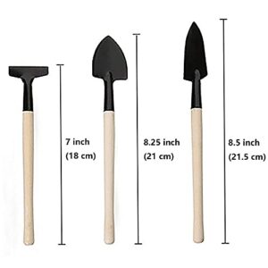 Gardening Tool Set (6 Pcs) Spade Shovel Rake for Garden Plants Care House Plants Flower Pot Cactus Vegetables Kids Indoor Small Plants Mini Medium Plant Tool Succulent Kit