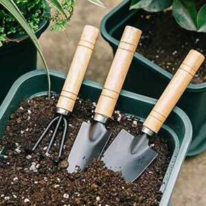 Gardening Tool Set (6 Pcs) Spade Shovel Rake for Garden Plants Care House Plants Flower Pot Cactus Vegetables Kids Indoor Small Plants Mini Medium Plant Tool Succulent Kit