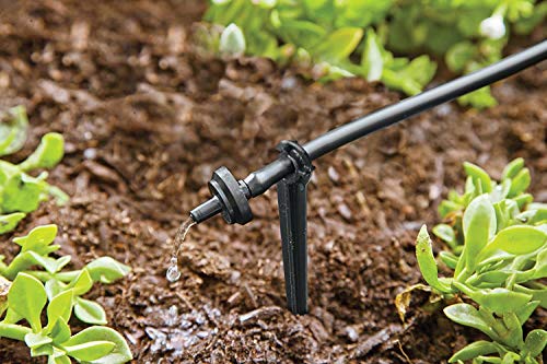 Raindrip R560DP Automatic Drip Irrigation Watering Kit with Timer for Containers and Hanging Baskets, Waters up to 20 Plants, Includes Timer with Customizable Settings and 20 PC Drippers,Black