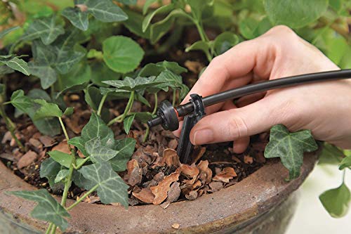 Raindrip R560DP Automatic Drip Irrigation Watering Kit with Timer for Containers and Hanging Baskets, Waters up to 20 Plants, Includes Timer with Customizable Settings and 20 PC Drippers,Black