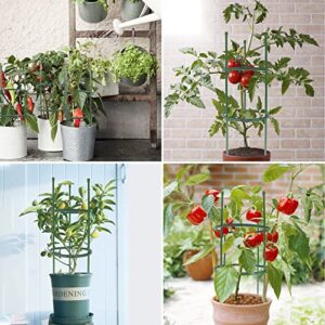 Plant Support Cages 15.7 Inches Garden Plant Support Ring Plant Stake Plant Support Tomato Cage, Perfect for Small Plants, Vegetables, Flowers, Plant Trellis for Potted Plants 2 Pack