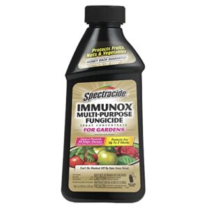 spectracide immunox multi-purpose fungicide spray concentrate for gardens 16 ounces, protects up to 2 weeks