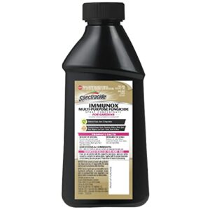 Spectracide Immunox Multi-Purpose Fungicide Spray Concentrate For Gardens 16 Ounces, Protects Up To 2 Weeks