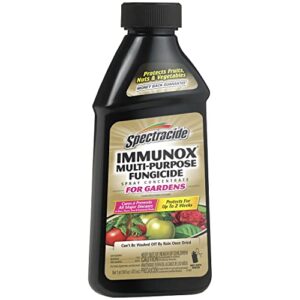 Spectracide Immunox Multi-Purpose Fungicide Spray Concentrate For Gardens 16 Ounces, Protects Up To 2 Weeks