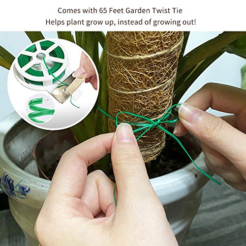 JOYSEUS 30 Inch Moss Pole for Climbing Plants - 2 Pack 15 Inch Coir Totem Pole Plant Support with 65 Feet Garden Twist Tie for Monstera and Potted Plants to Grow Upwards…