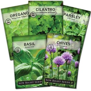 sow right seeds – 5 herb seed collection – genovese basil, chives, cilantro, italian parsley, and oregano seeds for planting and growing a home vegetable garden; fresh assortment herbal variety pack