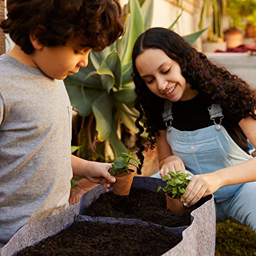 Back to the Roots Reusable Fabric Grow Bed for Herbs, Vegetables & Flowers, 3 cu. ft., Weatherproof, Double-stitched Handles for Easy Moving, No Assembly/Tools Needed