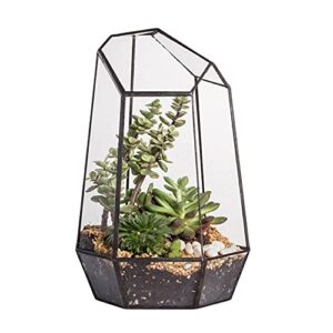 ncyp geometric glass terrarium planter for air plants succulents (6.5×5.7×9.8inches) indoor irregular opened glass flower pot, home garden office tabletop decoration container (no plants, no door)