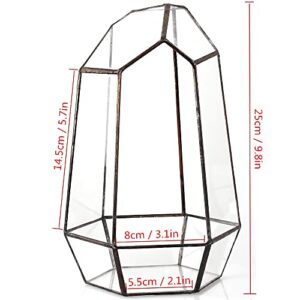 NCYP Geometric Glass Terrarium Planter for Air Plants Succulents (6.5x5.7x9.8Inches) Indoor Irregular Opened Glass Flower Pot, Home Garden Office Tabletop Decoration Container (No Plants, No Door)