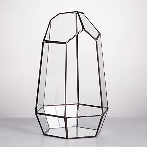 NCYP Geometric Glass Terrarium Planter for Air Plants Succulents (6.5x5.7x9.8Inches) Indoor Irregular Opened Glass Flower Pot, Home Garden Office Tabletop Decoration Container (No Plants, No Door)